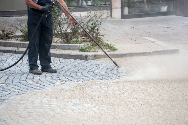 Animal Enclosure Cleaning in Fort Montgomery, NY